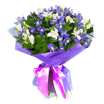 Морські зірки