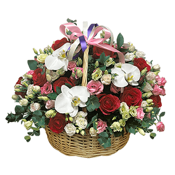 Святкове диво