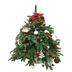 Чарівна ялинка