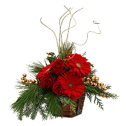 Різдвяний сюрприз