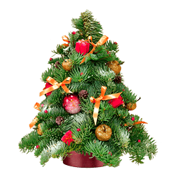 Зимова казка