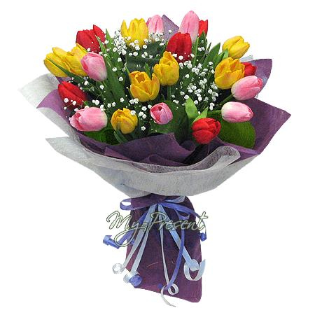 Букет із різнокольорових тюльпанів, прикрашений гіпсофілою