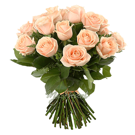 Букет кремових троянд (50 см.) перев